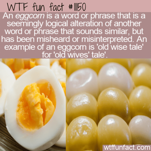 WTF Fun Fact - Eggcorn
