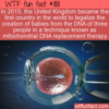 WTF Fun Fact – Mitochondrial DNA Replacement