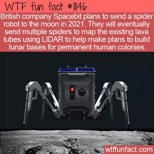 WTF Fun Fact - Spider Robots On The Moon