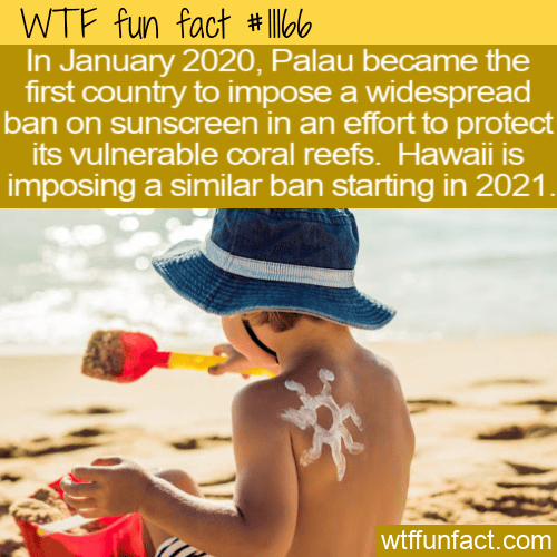 WTF Fun Fact - Sunscreen ban