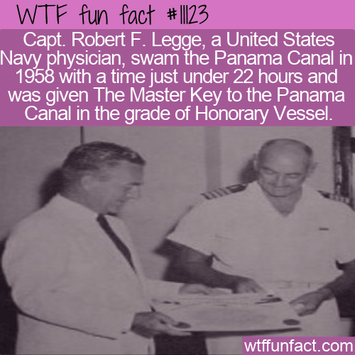 WTF Fun Fact - Swimmer Named Honorary Vessel
