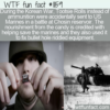 WTF Fun Fact – Tootsie Rolls Saved Marines