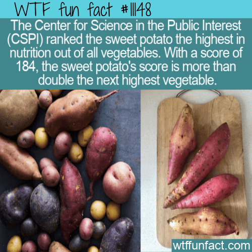 WTF Fun Fact - Top Ranked Sweet Potato