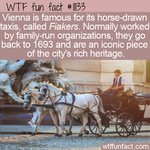 WTF Fun Fact - Vienna's Famous Fiakers