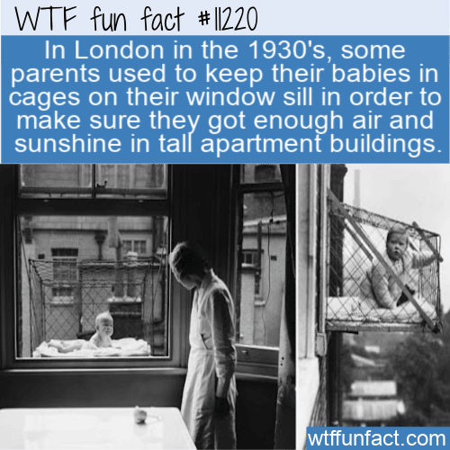 WTF Fun Fact - Baby Window Cage