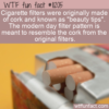 WTF Fun Fact – Cork Beauty Tips