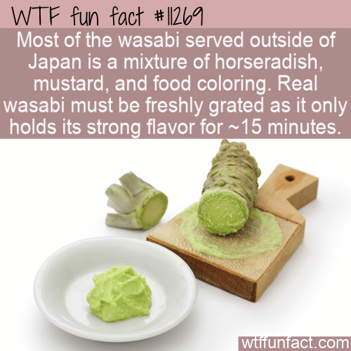 WTF Fun Fact - Fake Wasabi