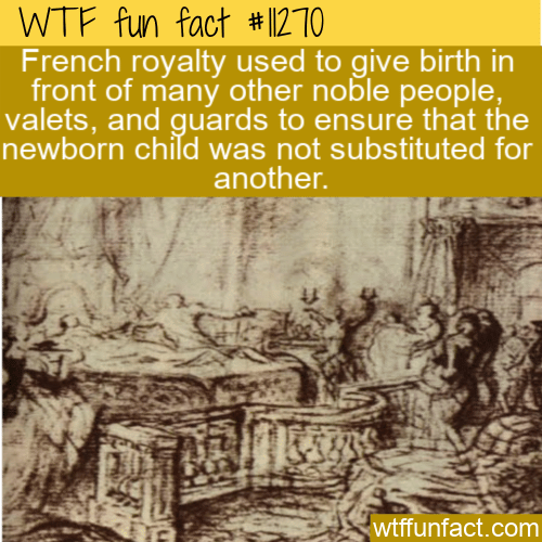 WTF Fun Fact - French Royalty Public Birth