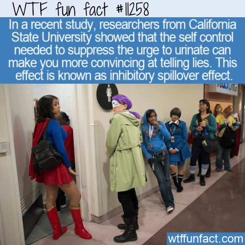WTF Fun Fact - Having To Pee Makes You A Better Liar