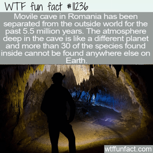WTF Fun Fact - Movile Cave