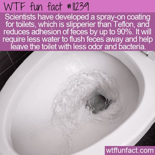 WTF Fun Fact - New Toilet Coating