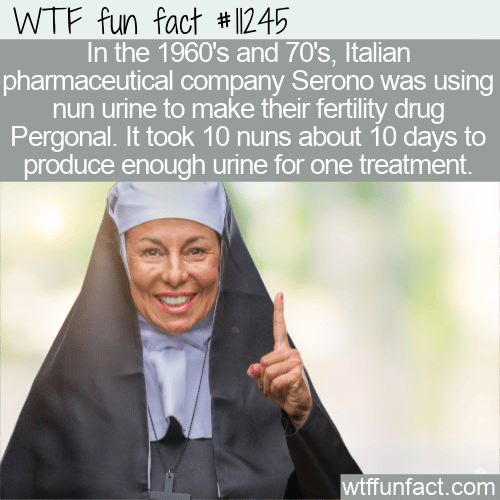 WTF Fun Fact - Nun Urine For Fertility
