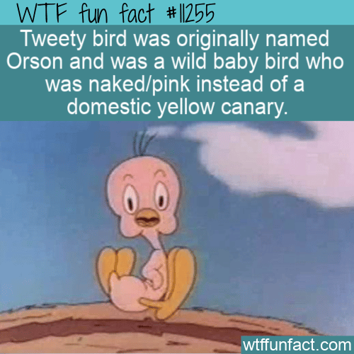 WTF Fun Fact - Orson Not Tweety Bird