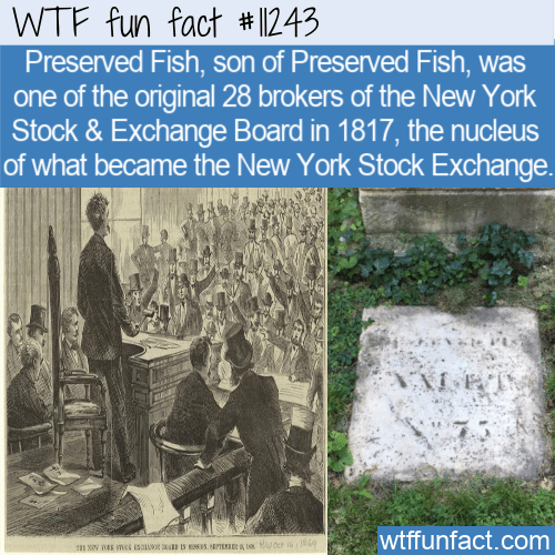 WTF Fun Fact - Preserved Fish