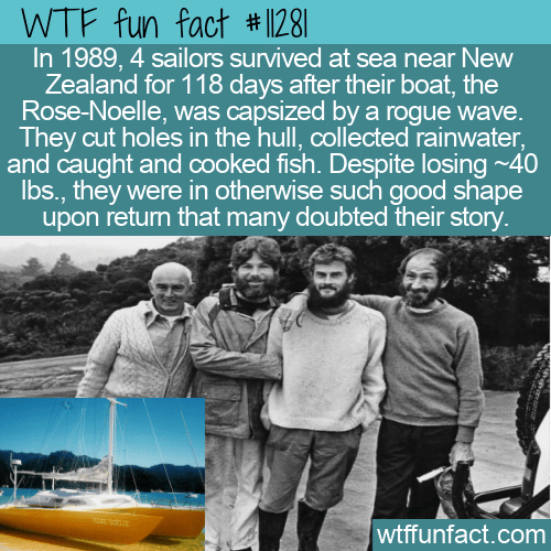 WTF Fun Fact - Survivors In Too Good Of Shape