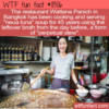 WTF Fun Fact – 45 Year Old Neua Tuna Soup