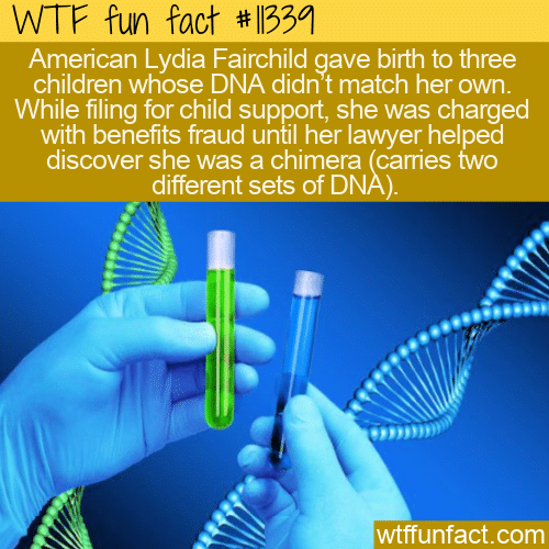 WTF Fun Fact - A Chimera Mother