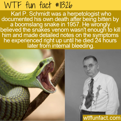 WTF-Fun-Fact-Herpetologist-Karl-P.-Schmidt.png