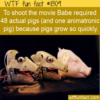 WTF Fun Fact – How Many Pigs In A Movie?