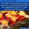 WTF Fun Fact – McDonald’s Fries Secret Formula
