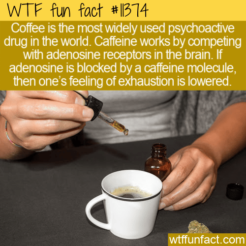 WTF Fun Fact - Most Popular Psychoactive Drug