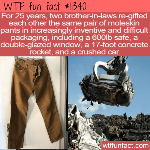 WTF Fun Fact - Re-gifted Moleskin Pants