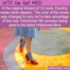 WTF Fun Fact – Silver Or Red Slippers
