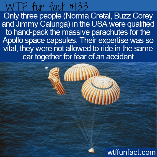 WTF Fun Fact - Space Capsule Parachute Packers
