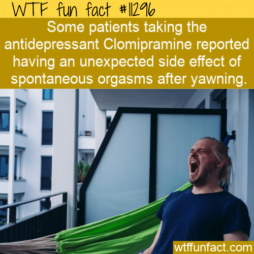 WTF Fun Fact - Yawn Causes Orgasm
