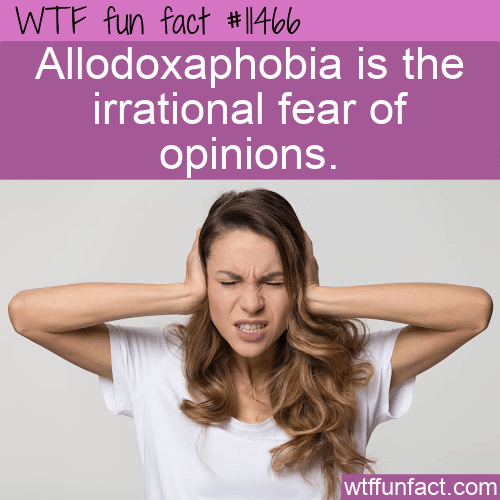 WTF Fun Fact - Allodoxaphobia