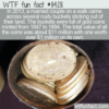 WTF Fun Fact – Buried Treasure In A Backyard