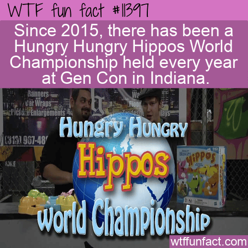 WTF Fun Fact - Hungry Hungry Hippos World Championship