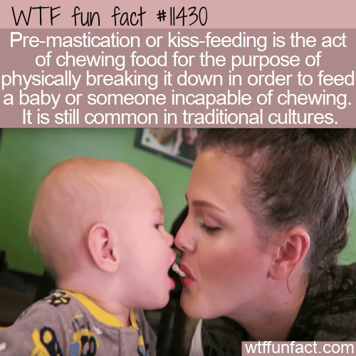 WTF Fun Fact - Kiss-Feeding