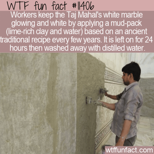 WTF Fun Fact - Mud Keeps The Taj Mahal White