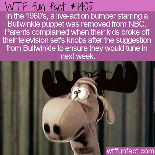 WTF Fun Fact - Naughty Bullwinkle Puppet