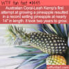 WTF Fun Fact – Record Pineapple