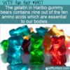WTF Fun Fact – The Good In Gummy Bears