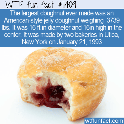 WTF Fun Fact - World's Largest Doughnut