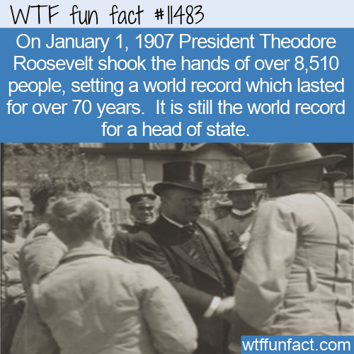 WTF Fun Fact - A Lot Of Handshakes