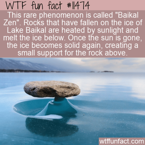 WTF Fun Fact - Baikal Zen
