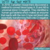 WTF Fun Fact – Gut Bacteria Converts Blood Type