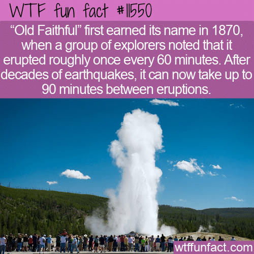 WTF Fun Fact - Old (And Now Less) Faithful