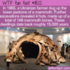 WTF Fun Fact – Old Huts Built From Mammoth Bones