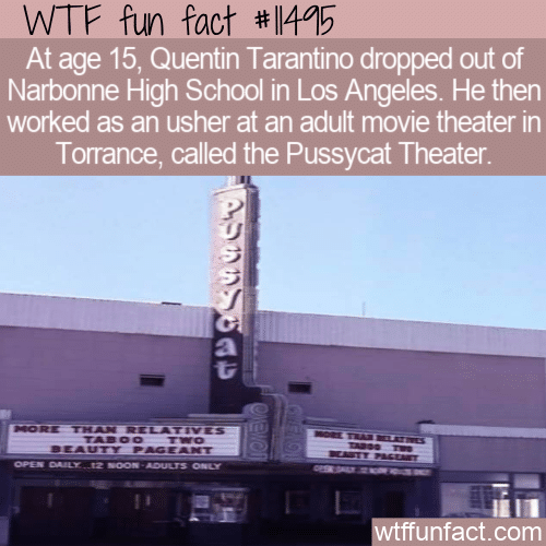 WTF Fun Fact - Quentin The Usher