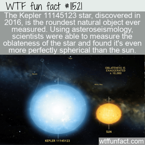 WTF Fun Fact - Roundest Natural Object