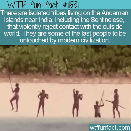 WTF Fun Fact - Sentinelese