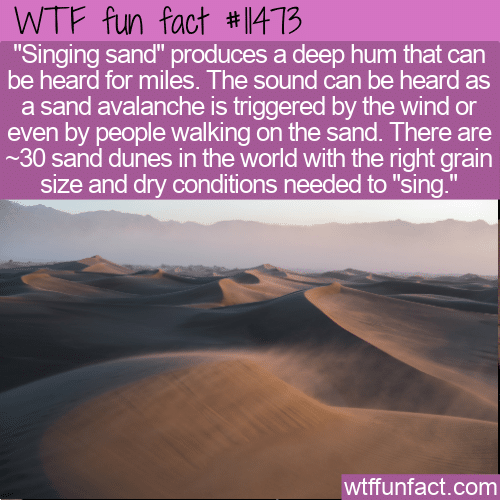 WTF Fun Fact - Singing Sand