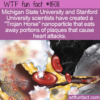 WTF Fun Fact – Trojan Horse Nanoparticle
