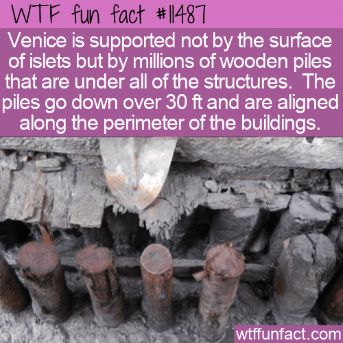 WTF Fun Fact - What Is Venice Built On_