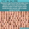 WTF Fun Fact – Women Have Better Sense Of Smell